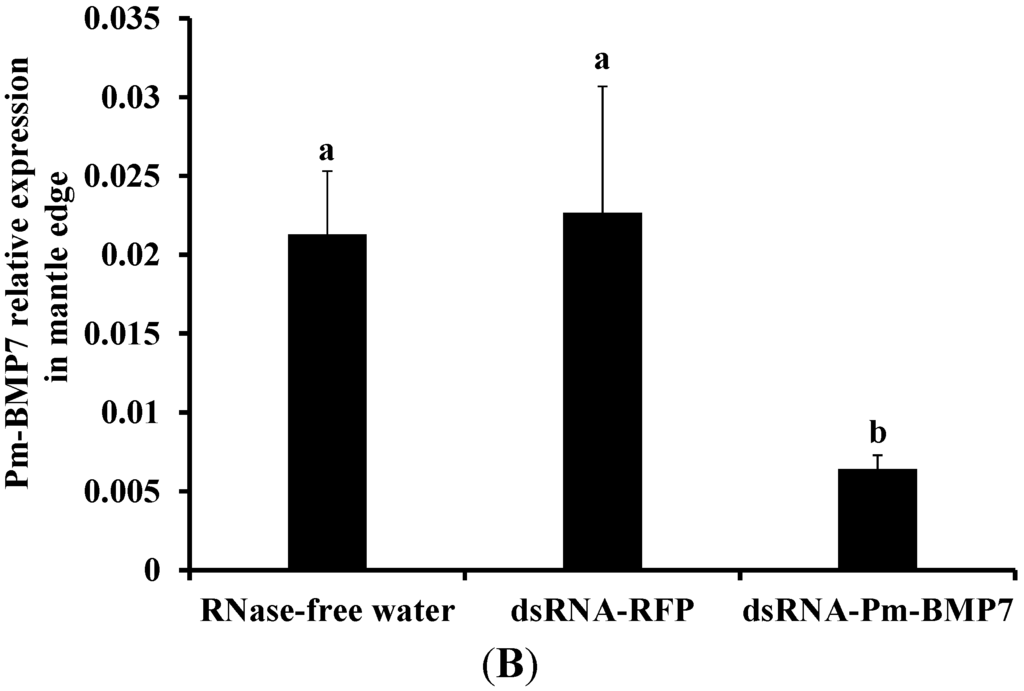 Ijms 15 21215 g005b 1024