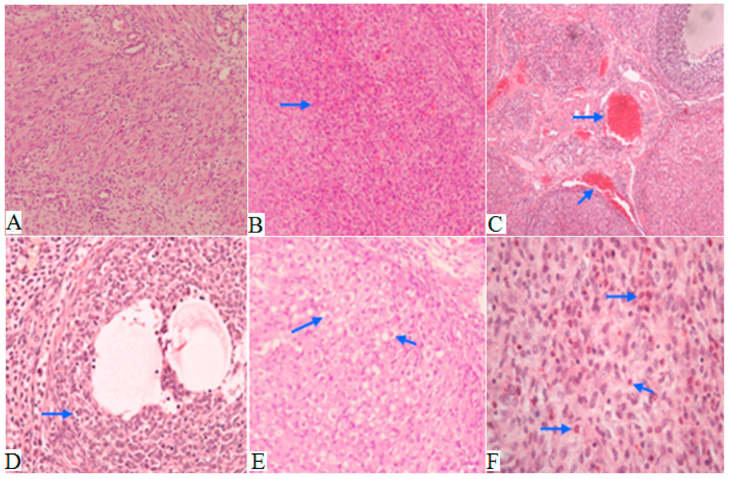 Ijms 15 21253 g003 1024