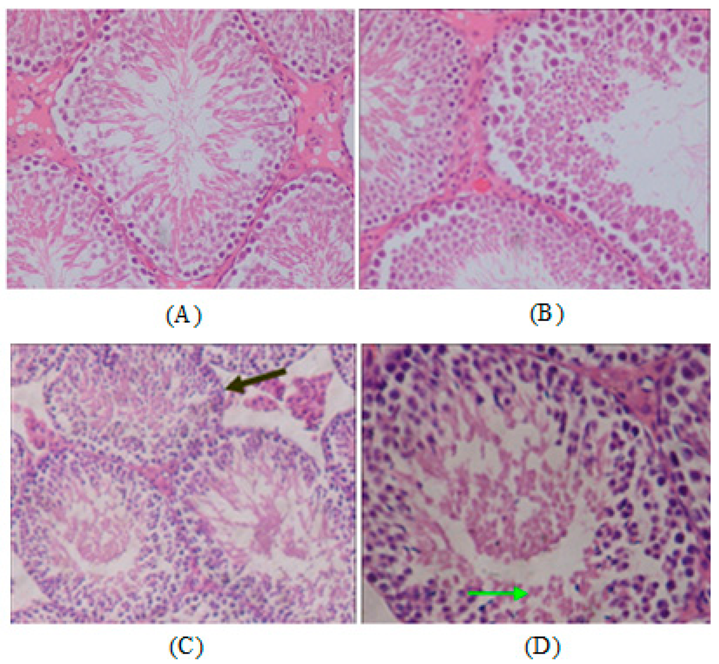 Ijms 15 21253 g004 1024