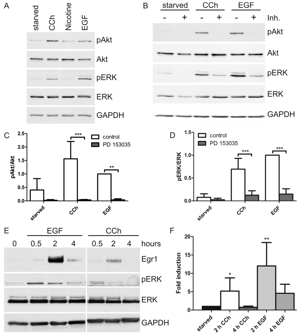 Ijms 15 21433 g001a 1024