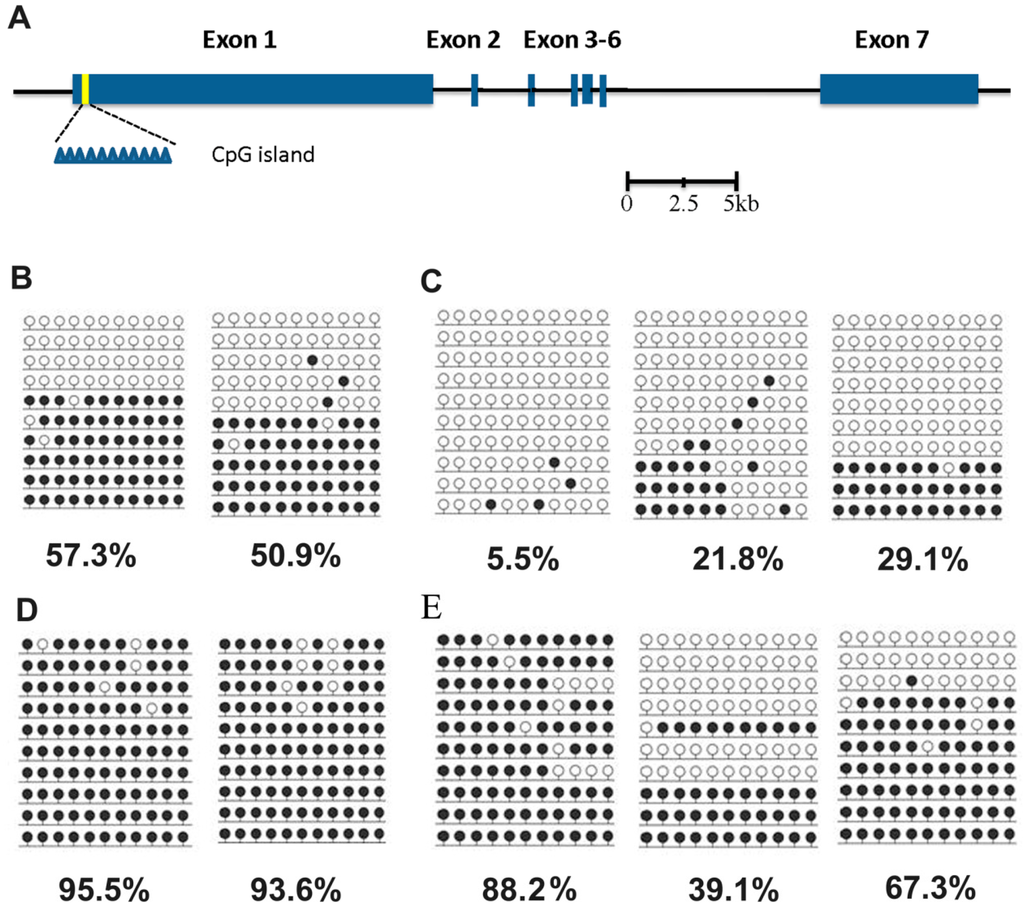 Ijms 15 21631 g003 1024