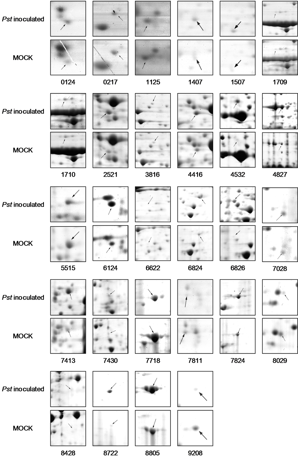 Ijms 15 21644 g002 1024