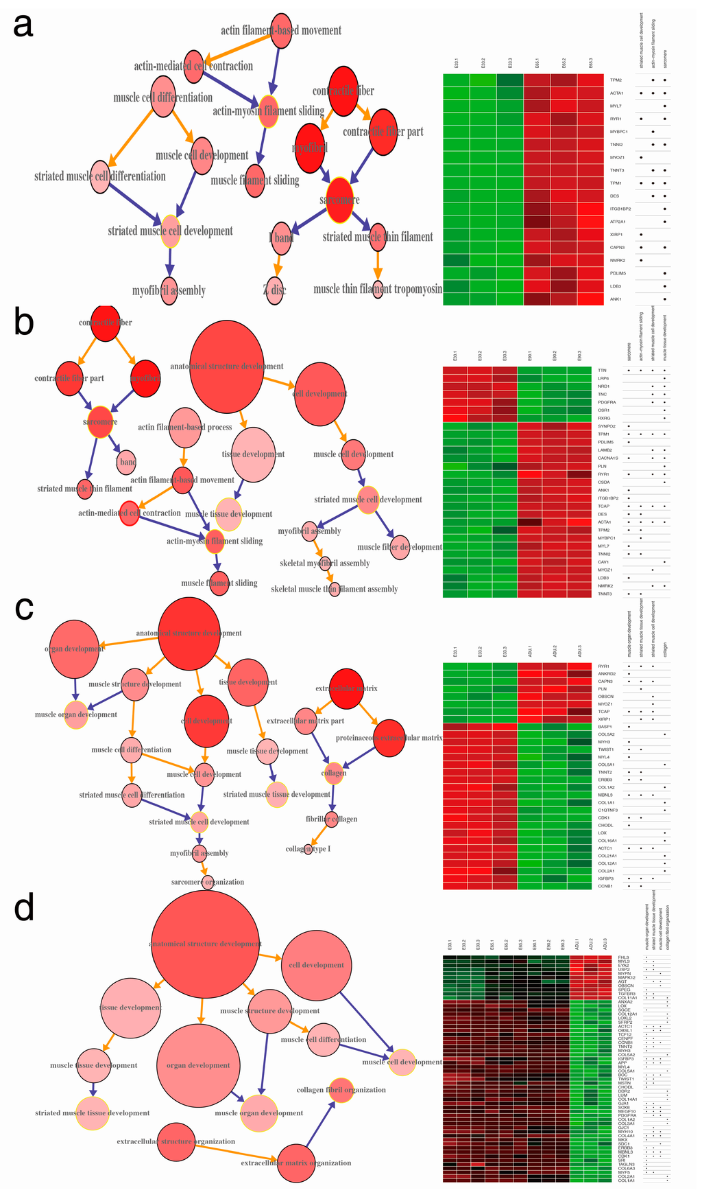 Ijms 15 21788 g004 1024