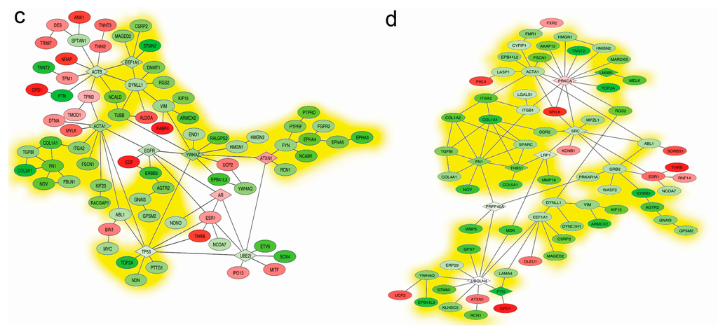Ijms 15 21788 g005b 1024