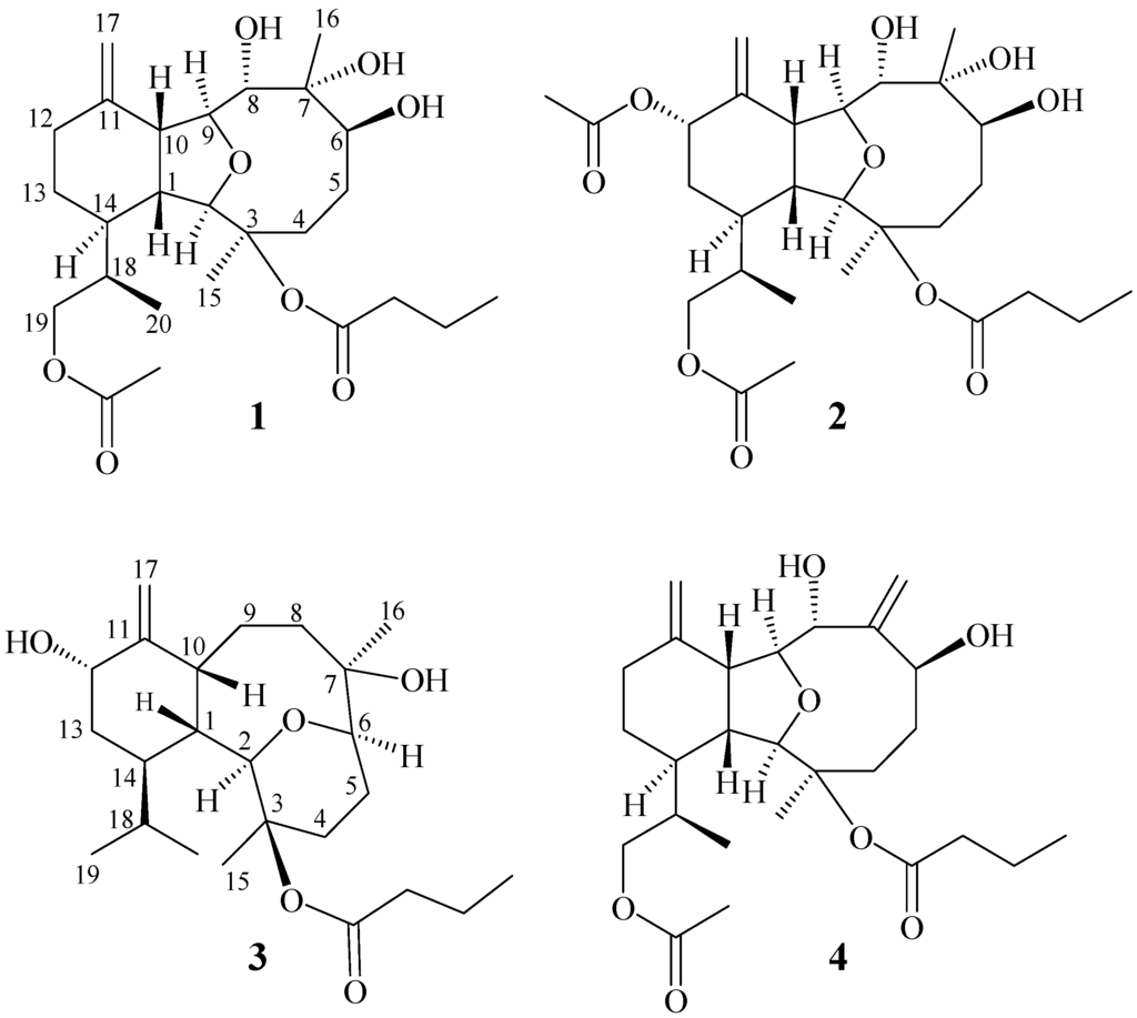 Ijms 15 21865 g003 1024