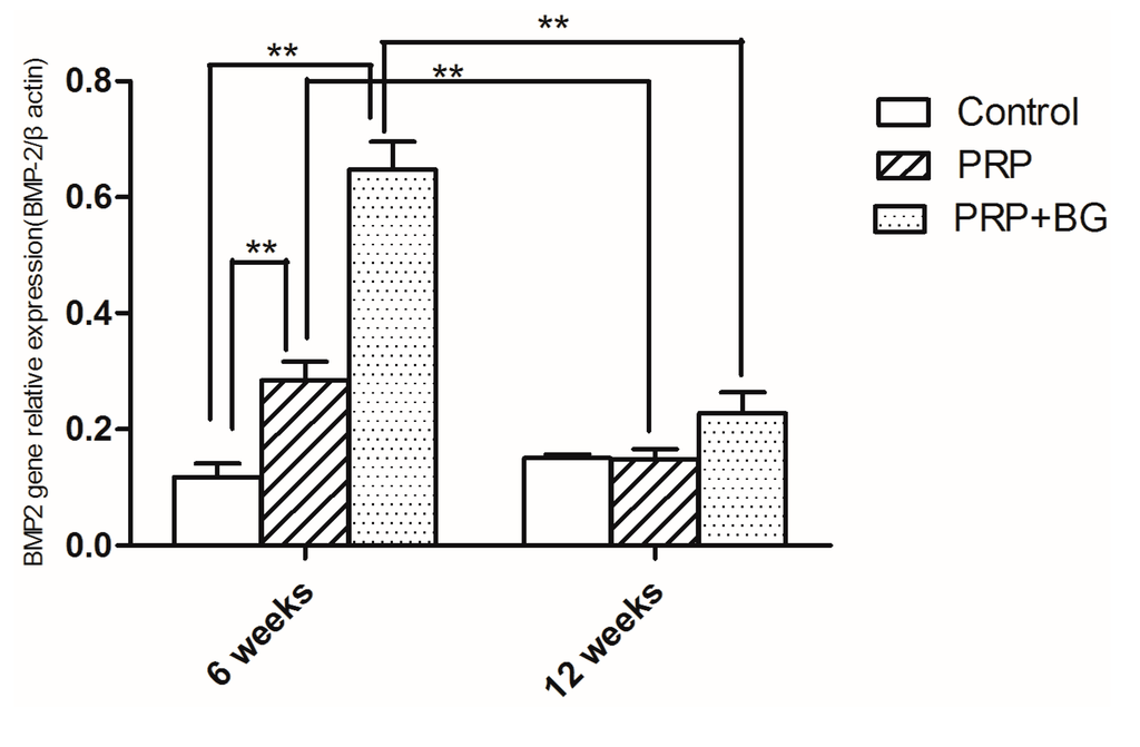 Ijms 15 21980 g003 1024