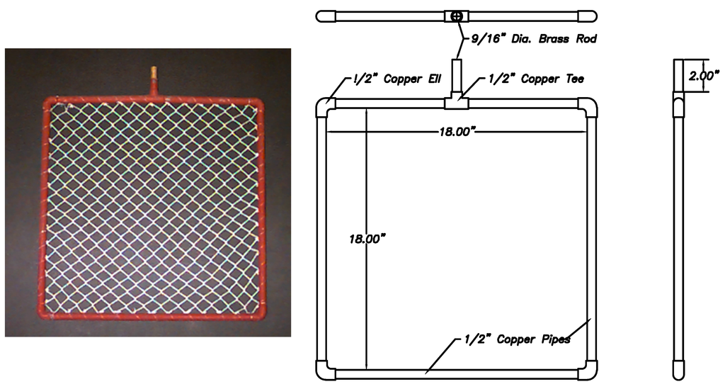 Ijms 15 22142 g008 1024