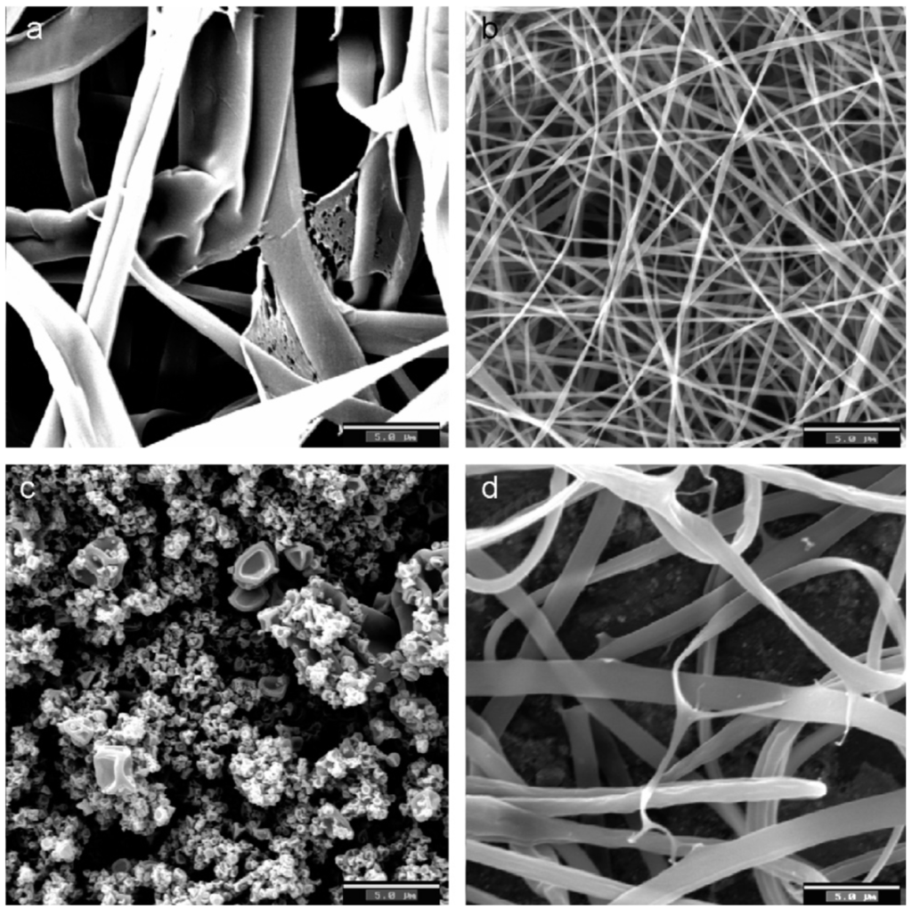 Ijms 15 22438 g003 1024