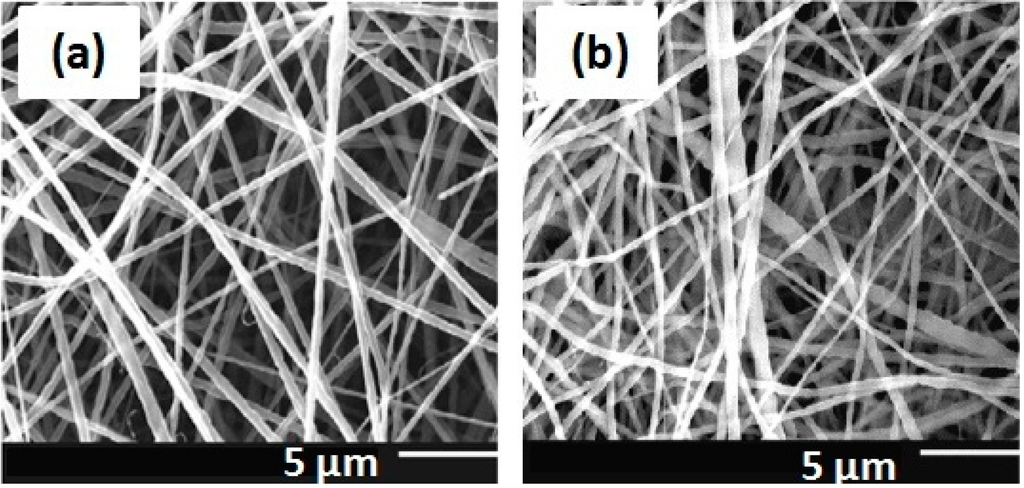 Ijms 15 22438 g005 1024