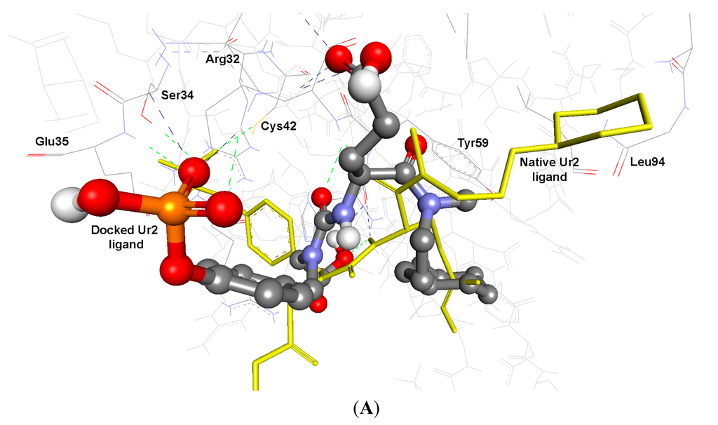 Ijms 15 22580 g001a 1024