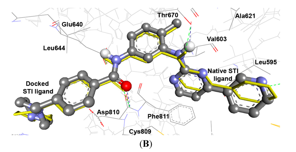 Ijms 15 22580 g001b 1024