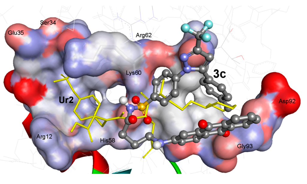 Ijms 15 22580 g002 1024