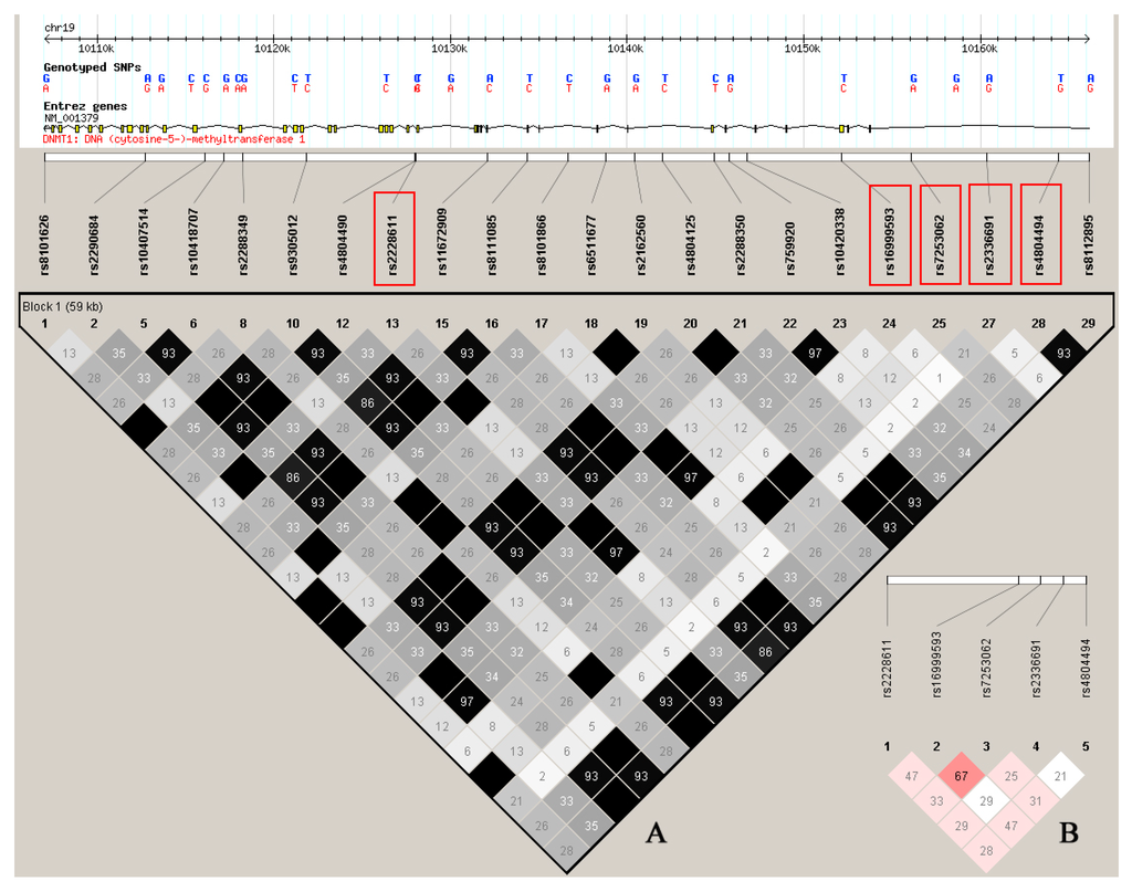 Ijms 15 22694 g001 1024