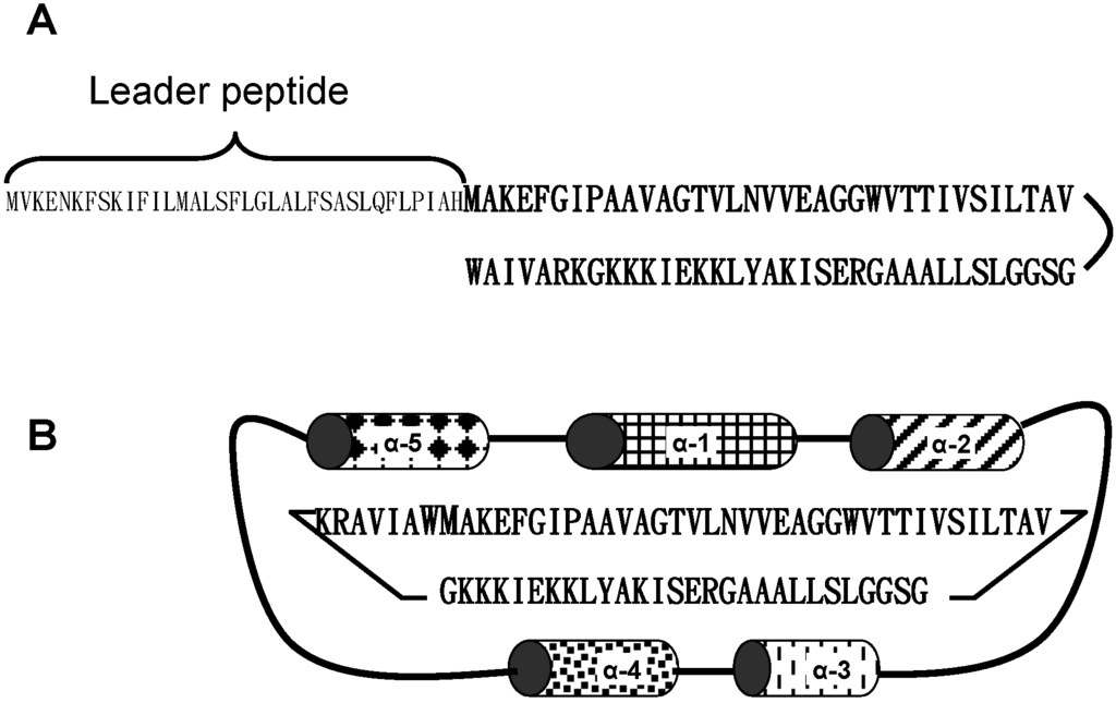 Ijms 15 22706 g001 1024