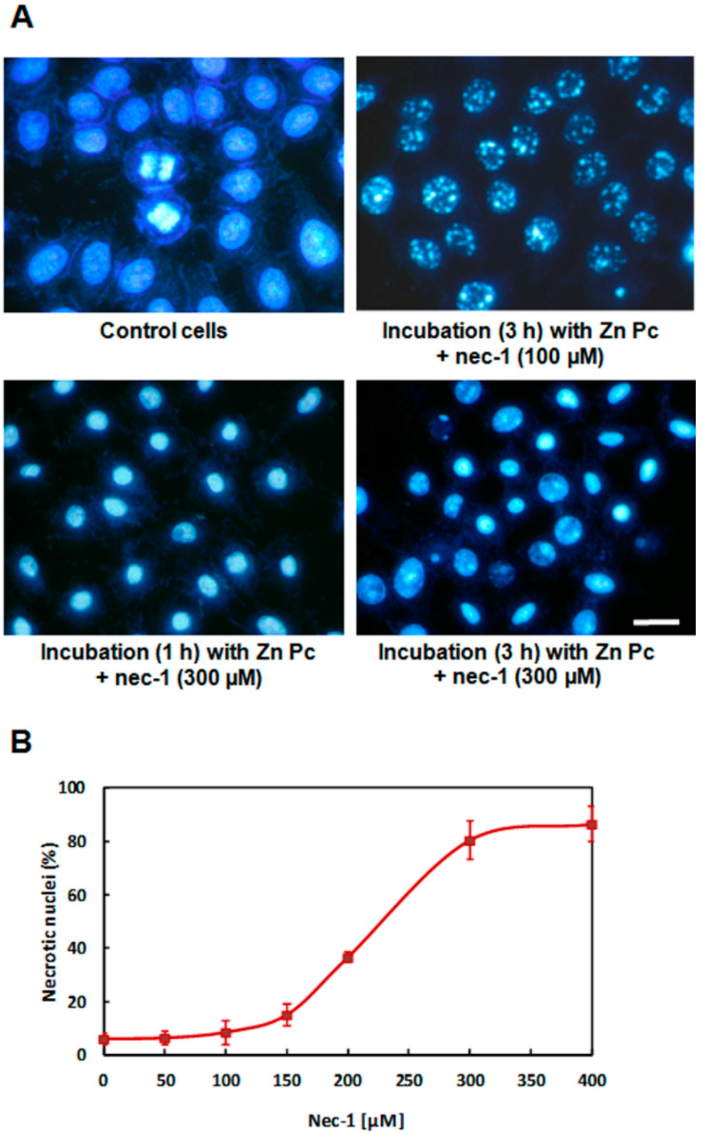Ijms 15 22772 g005 1024