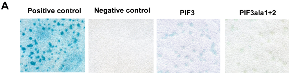 Ijms 15 22801 g001a 1024