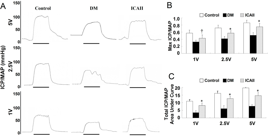 Ijms 15 23294 g001 1024