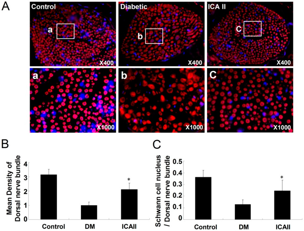 Ijms 15 23294 g002 1024
