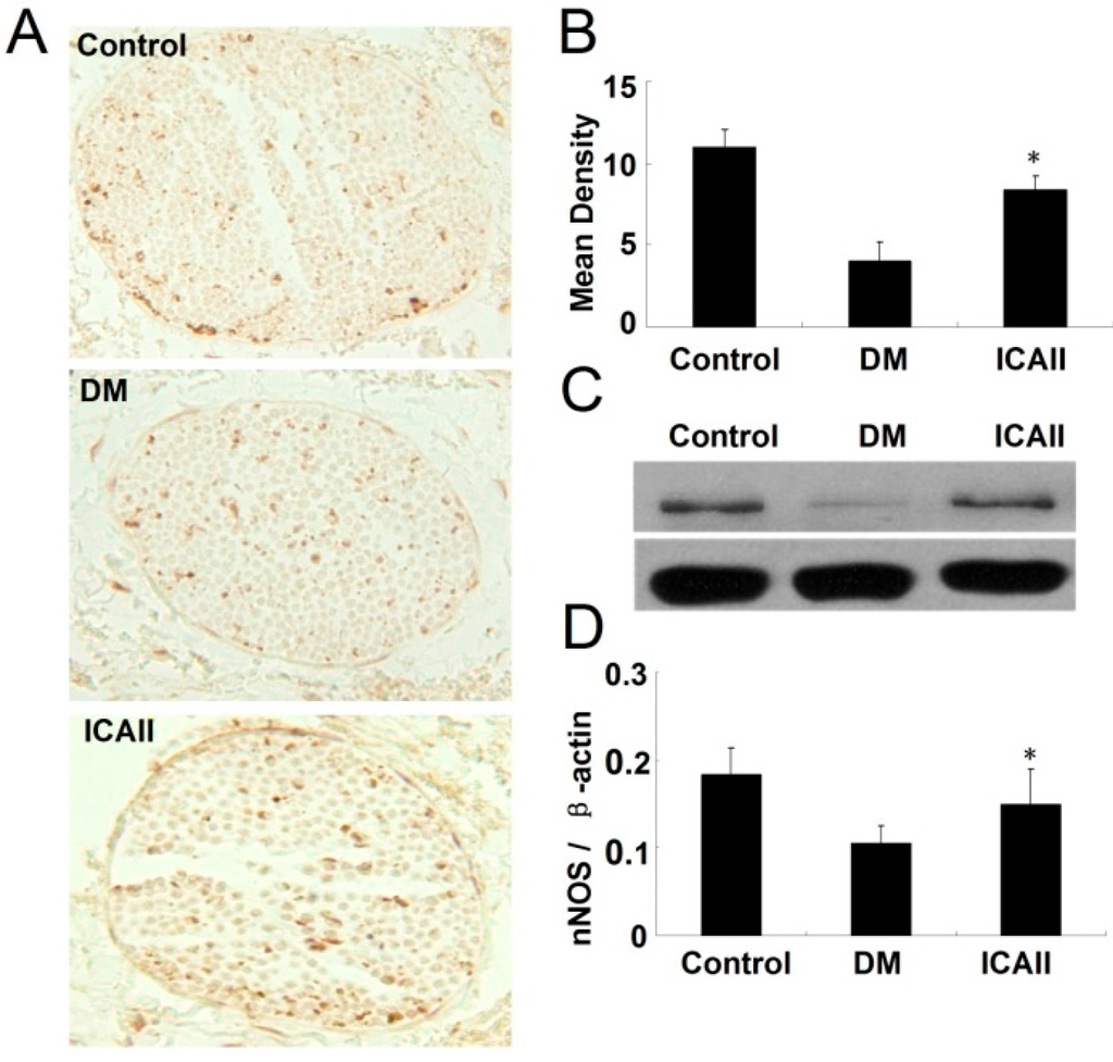 Ijms 15 23294 g003 1024