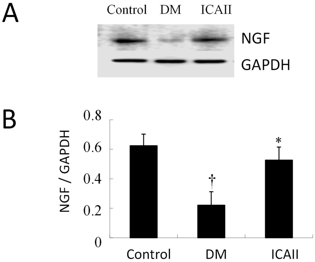 Ijms 15 23294 g004 1024
