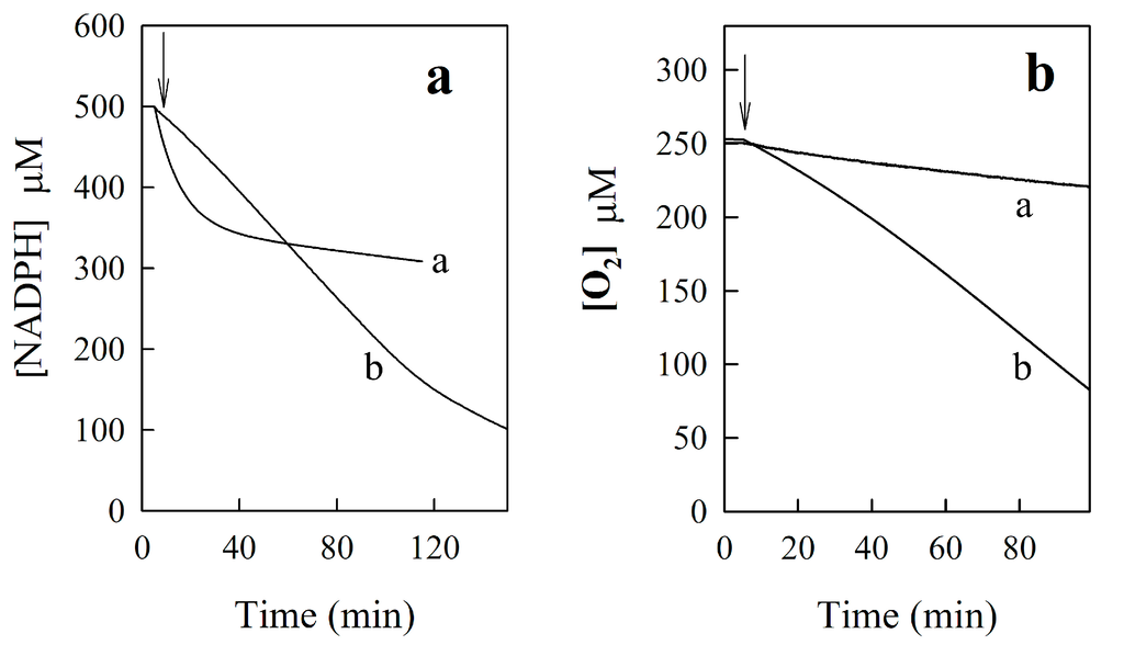 Ijms 15 23307 g004 1024