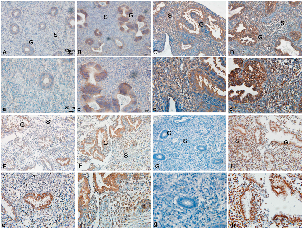 Ijms 15 23345 g001 1024