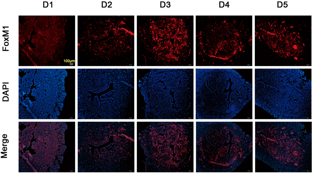 Ijms 15 23345 g002 1024
