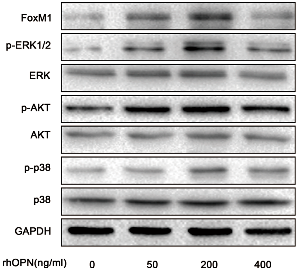 Ijms 15 23345 g004 1024
