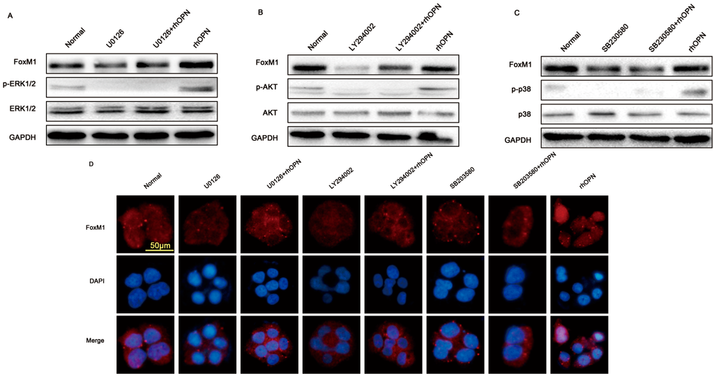 Ijms 15 23345 g005 1024