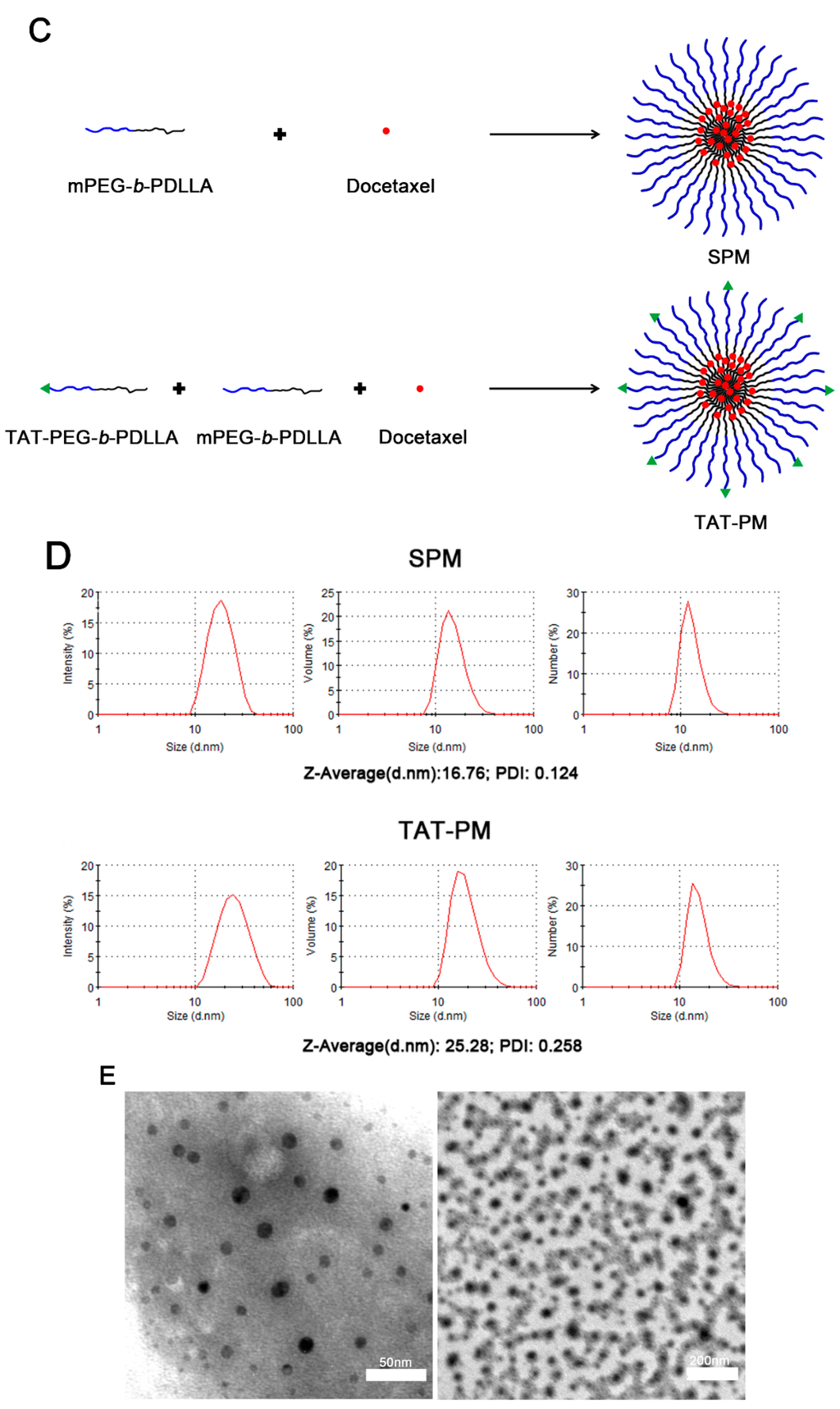 Ijms 15 23571 g001c 1024