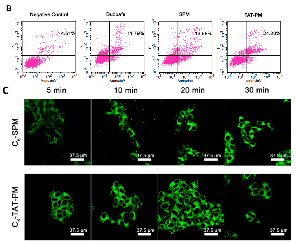 Ijms 15 23571 g002b 1024