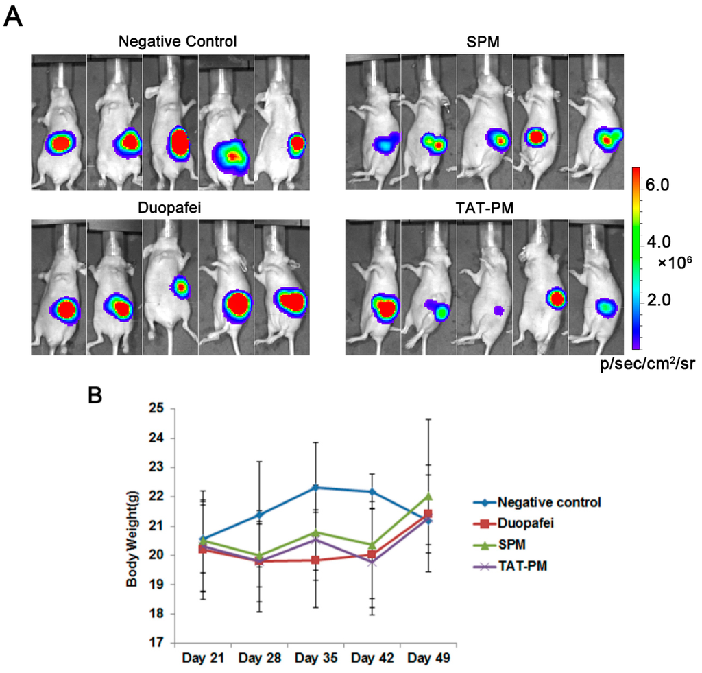 Ijms 15 23571 g003a 1024