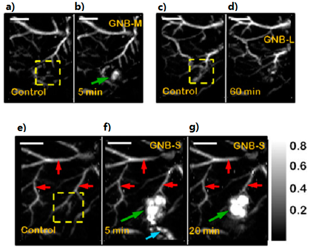 Ijms 15 23616 g002 1024