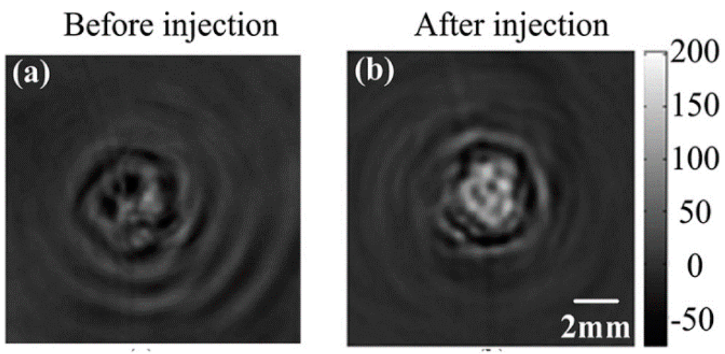 Ijms 15 23616 g008 1024