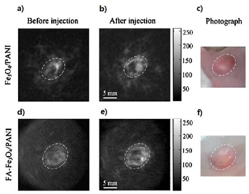 Ijms 15 23616 g009 1024