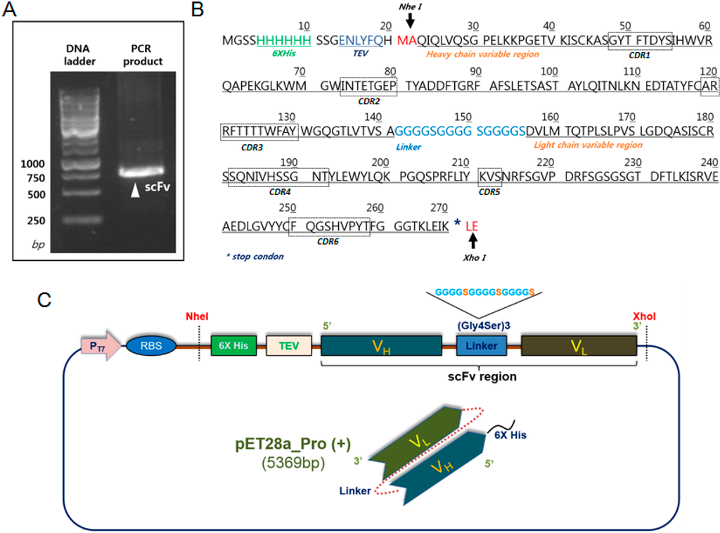 Ijms 15 23658 g001 1024