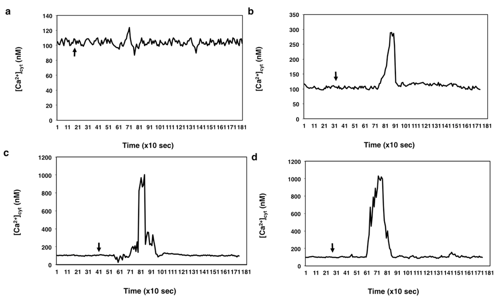 Ijms 15 23766 g006 1024