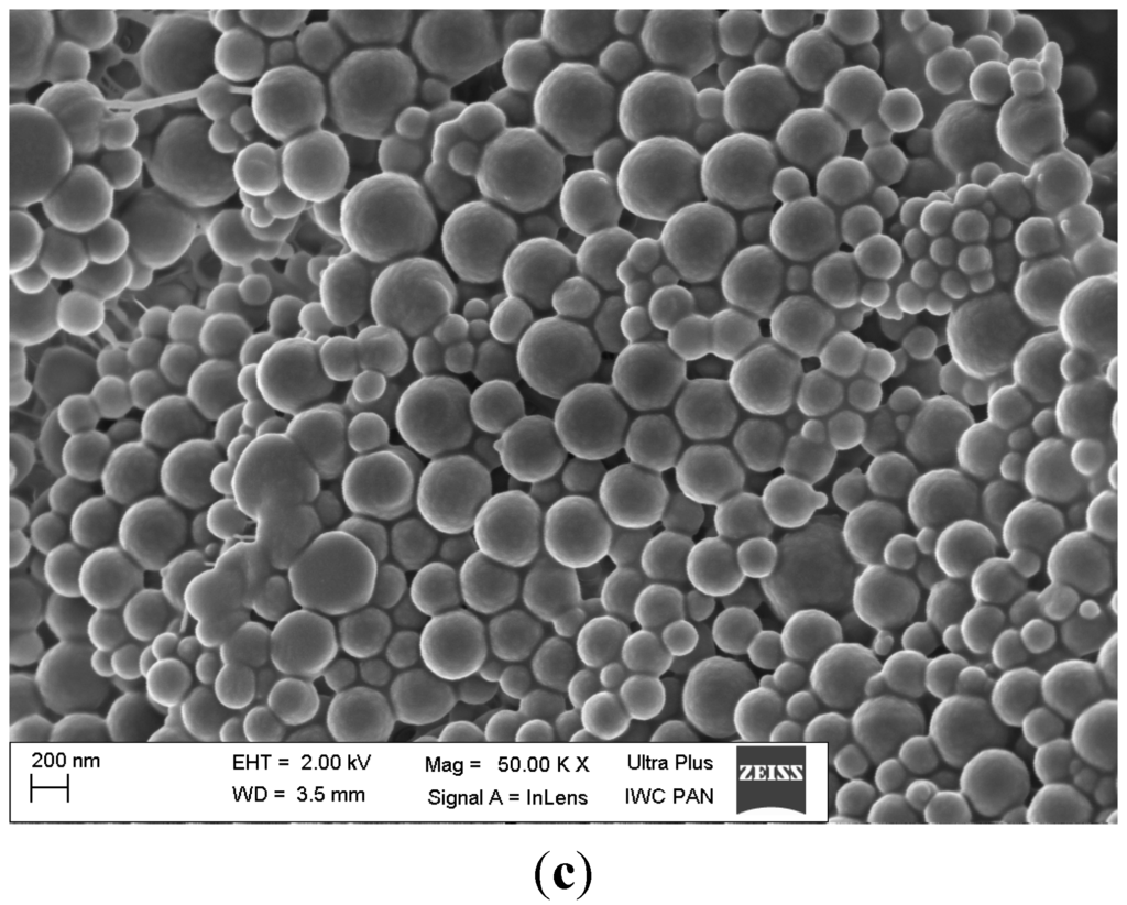 Ijms 15 23909 g001b 1024