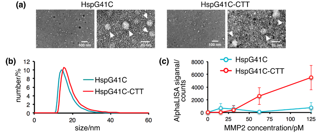 Ijms 16 00148 g003 1024