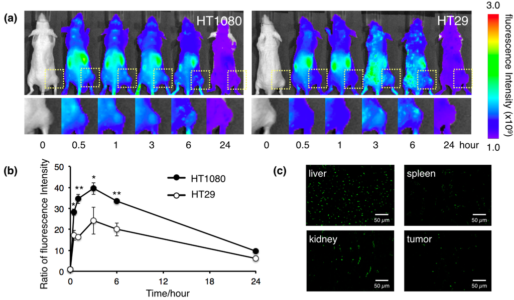 Ijms 16 00148 g005 1024