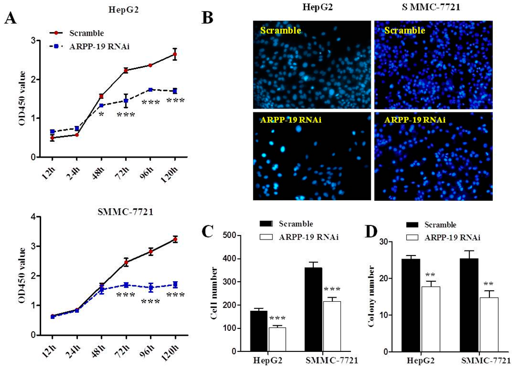 Ijms 16 00178 g004 1024