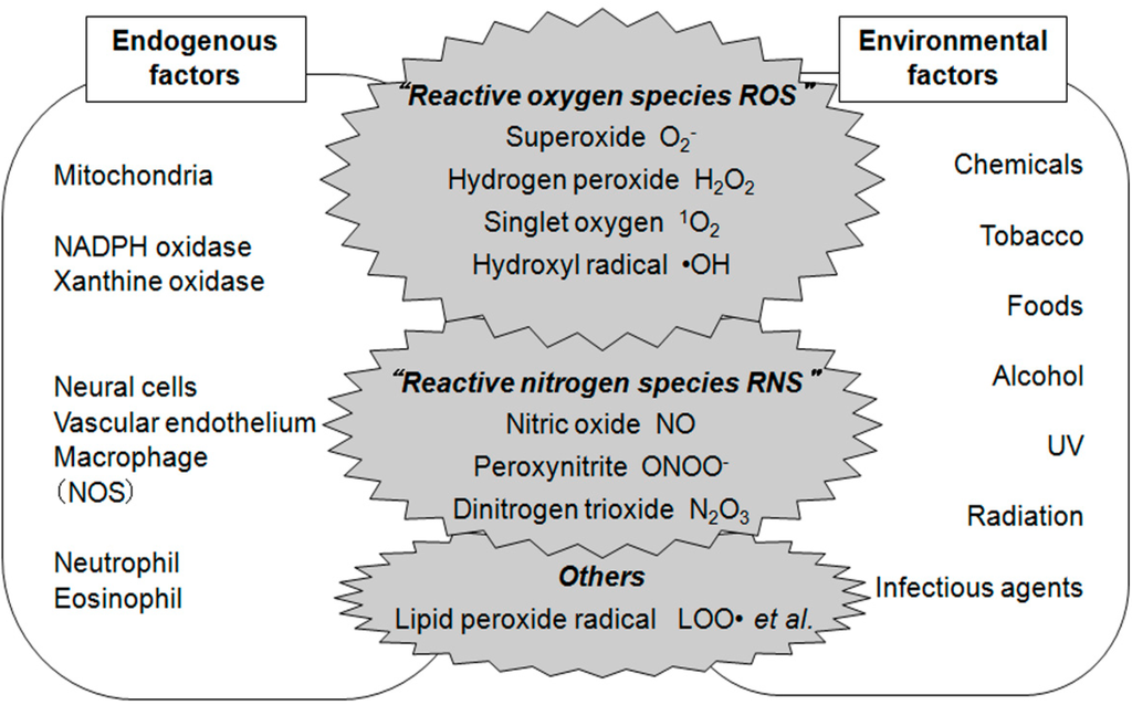 Ijms 16 00193 g001 1024