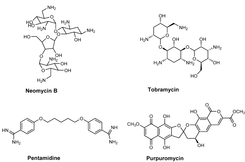 Ijms 16 00321 g002 1024