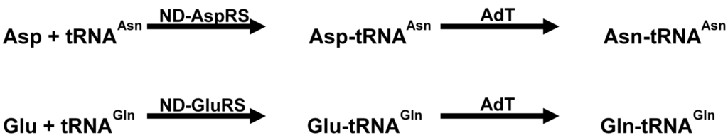 Ijms 16 00321 g004 1024