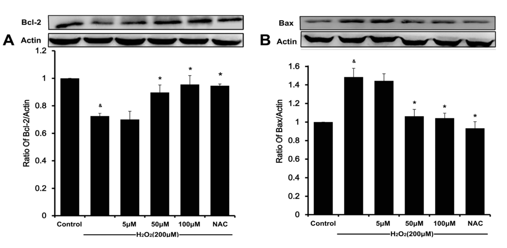 Ijms 16 00628 g008a 1024