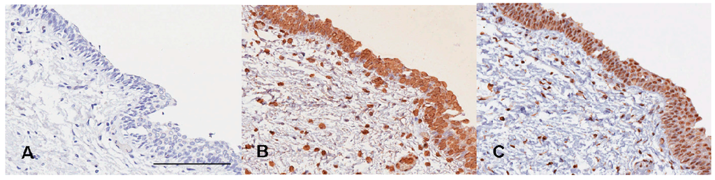 Ijms 16 00677 g001 1024