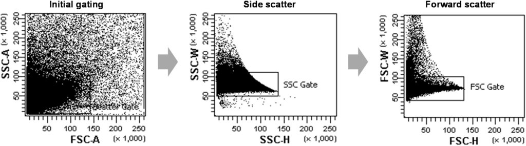 Ijms 16 00788 g006 1024