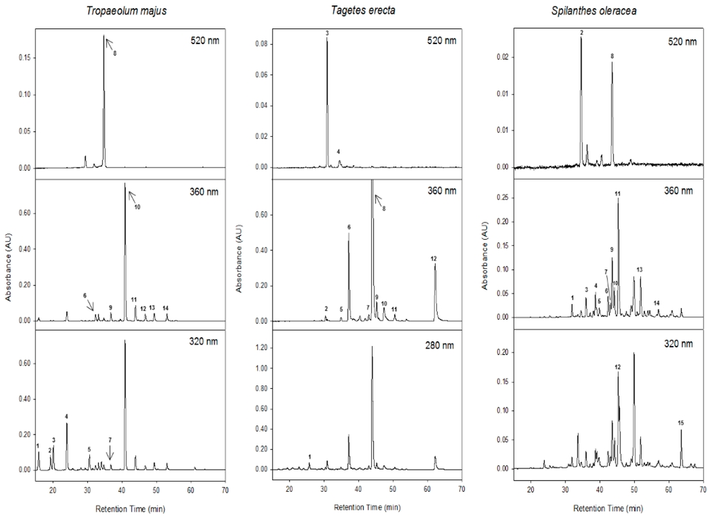 Ijms 16 00805 g001 1024