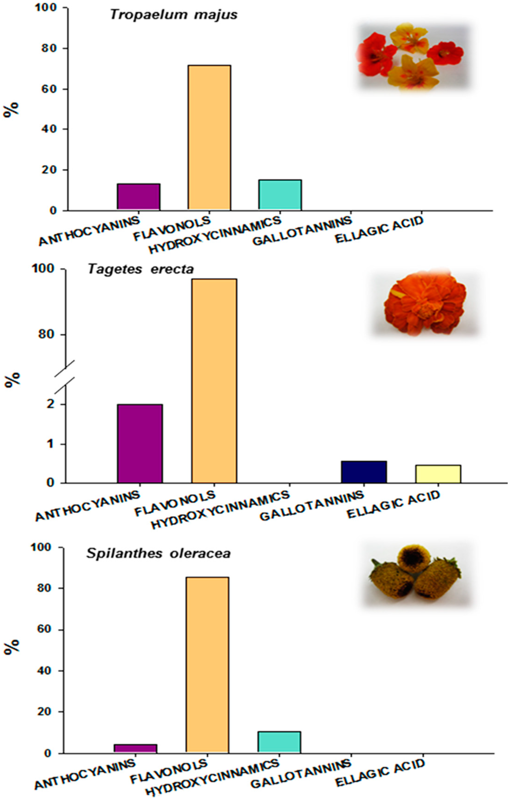 Ijms 16 00805 g002 1024