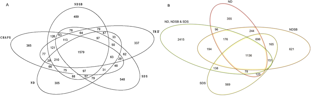 Ijms 16 00857 g001 1024